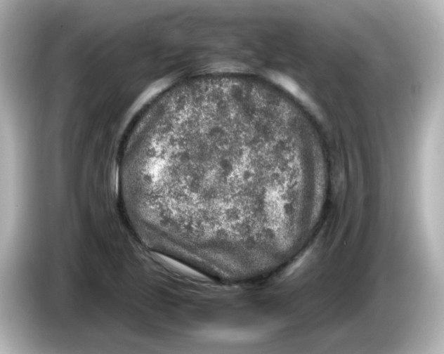 X0000085781221200704091406