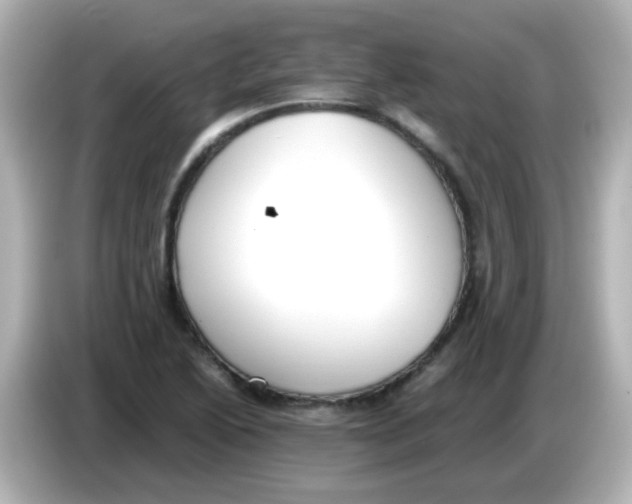 X0000085781222200704091406