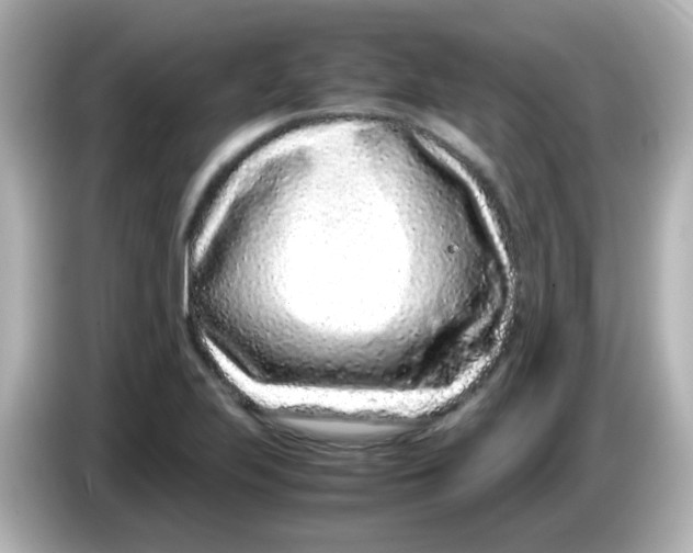 X0000085781223200704091406