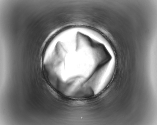 X0000085781224200704091406