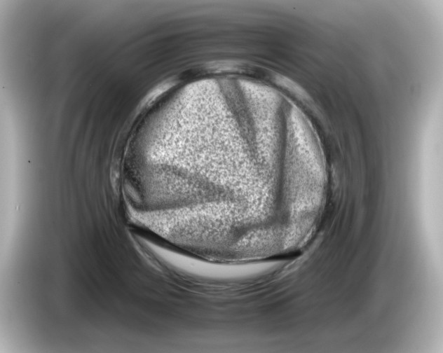 X0000085781225200704091406