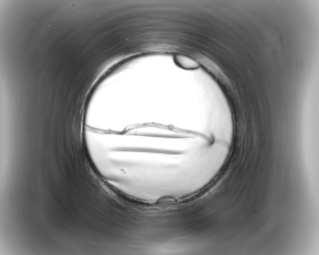 X0000085781228200704091406