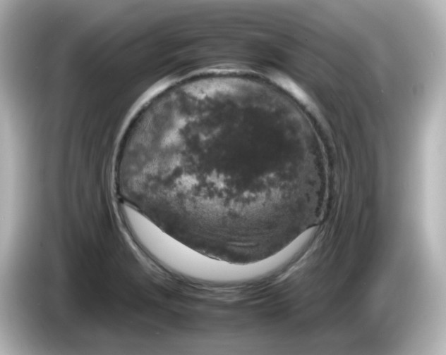 X0000085781229200704091406