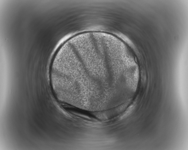 X0000085781230200704091406