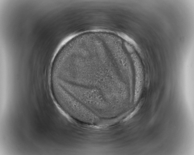 X0000085781231200704091406