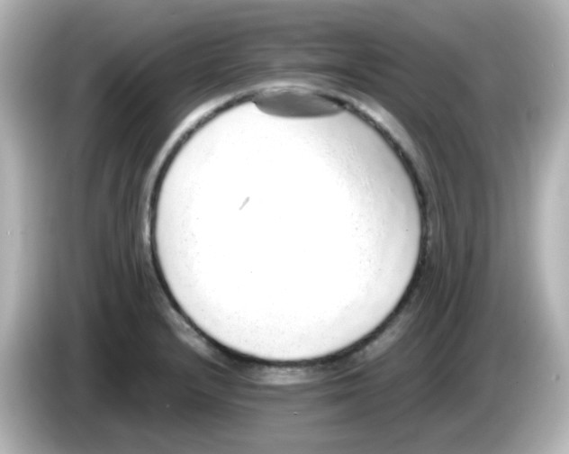 X0000085781232200704091406