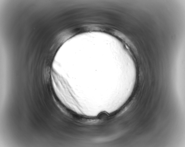 X0000085781233200704091406