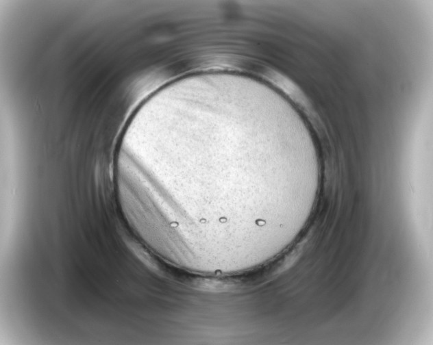 X0000085781234200704091406