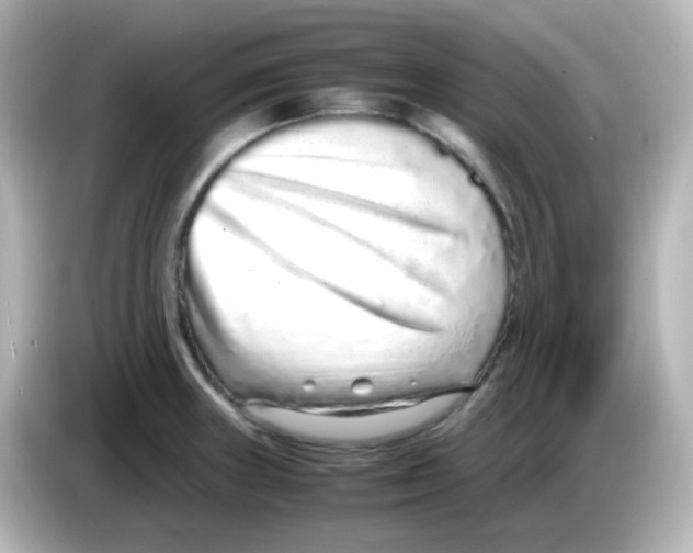 X0000085781235200704091406