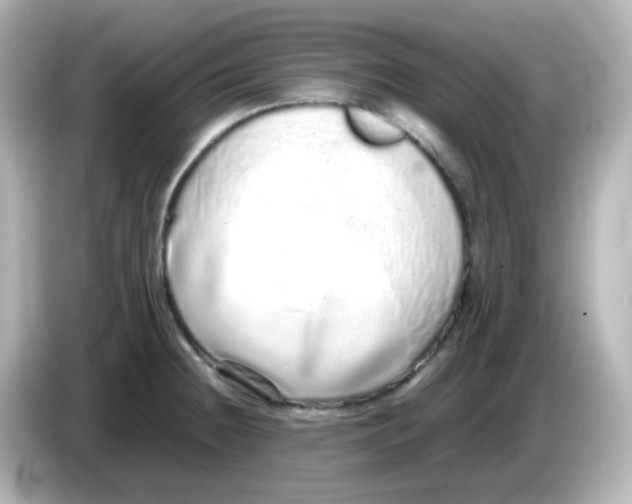 X0000085781236200704091406