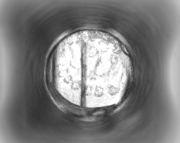 X0000085781237200704091406