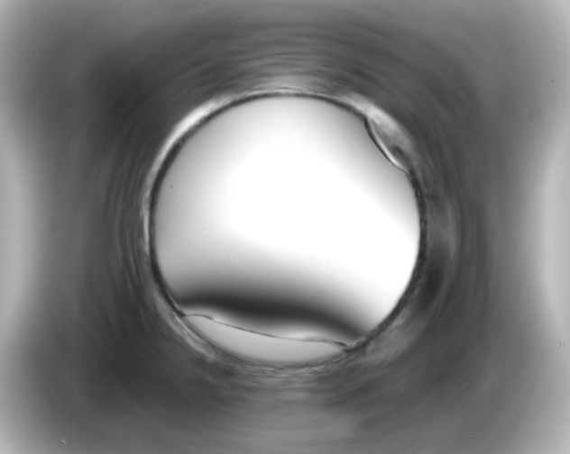 X0000085781238200704091406