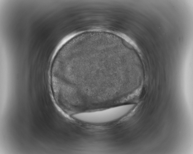 X0000085781239200704091406