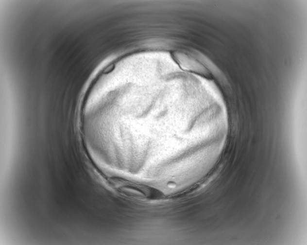 X0000085781240200704091406