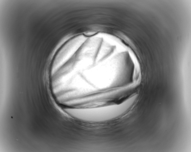 X0000085781243200704091406