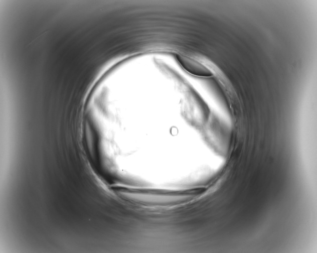 X0000085781244200704091406