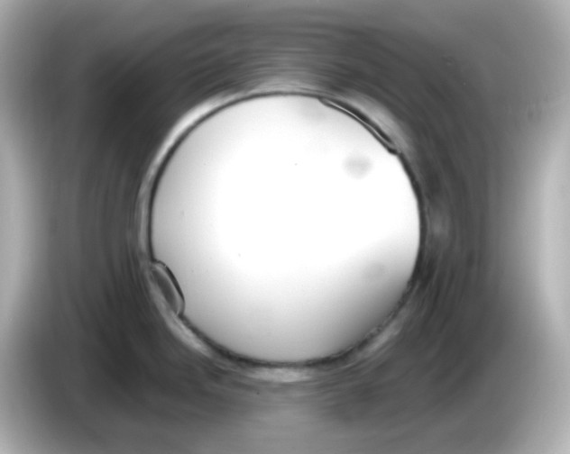 X0000085781246200704091406