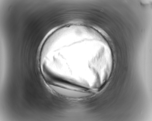 X0000085781248200704091406