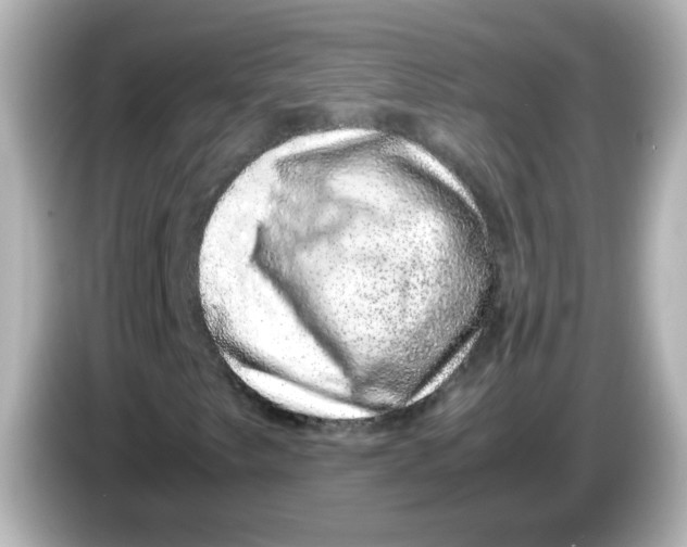 X0000085781249200704091405