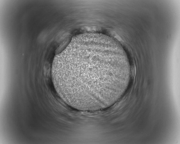 X0000085781251200704091405