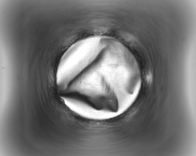 X0000085781252200704091405