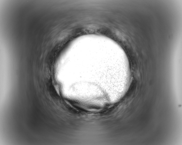 X0000085781253200704091405