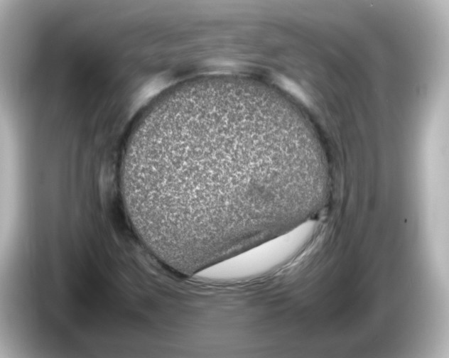 X0000085781259200704091405