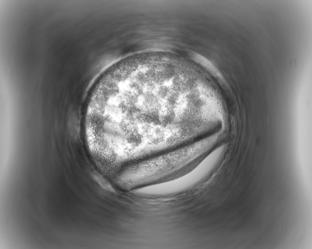 X0000085781260200704091405