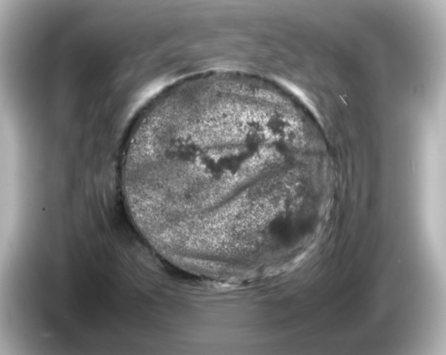 X0000085781263200704091405