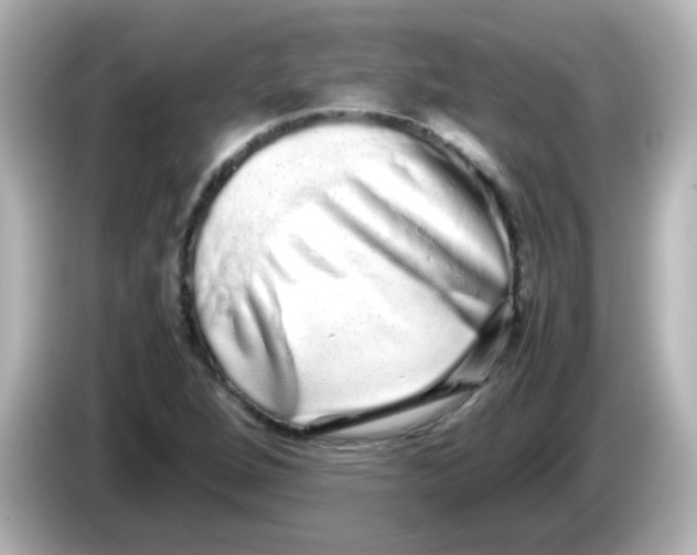 X0000085781264200704091405