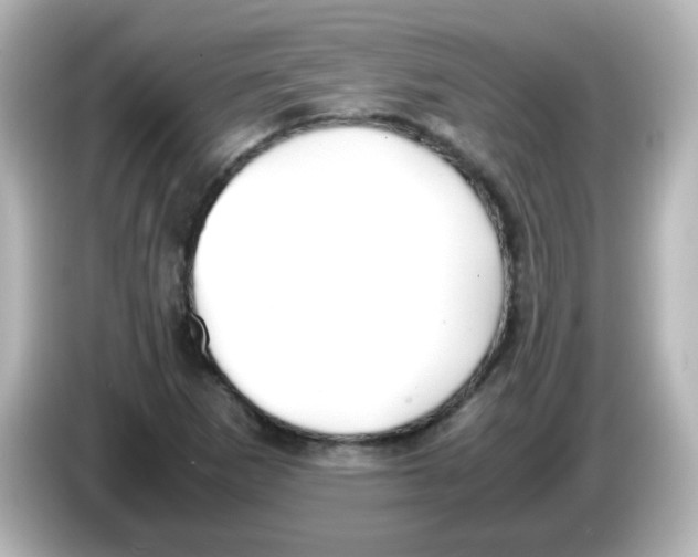 X0000085781265200704091405