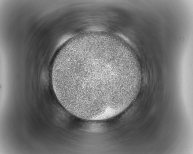 X0000085781266200704091405