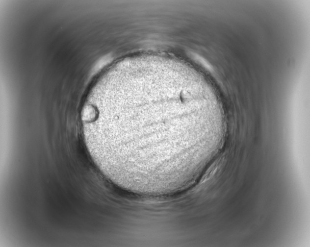 X0000085781267200704091405