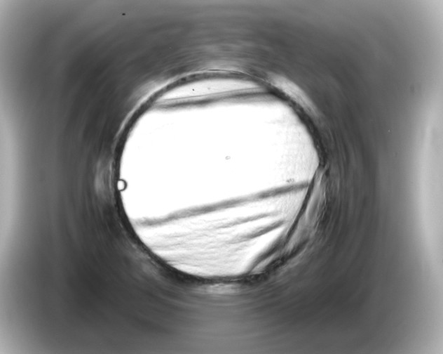 X0000085781268200704091405