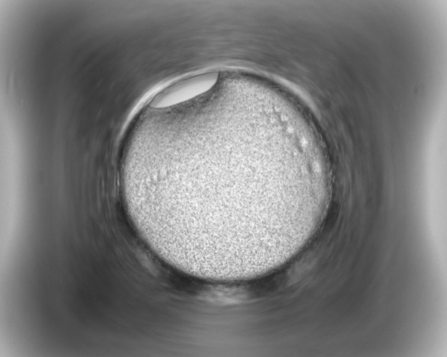 X0000085781271200704091405