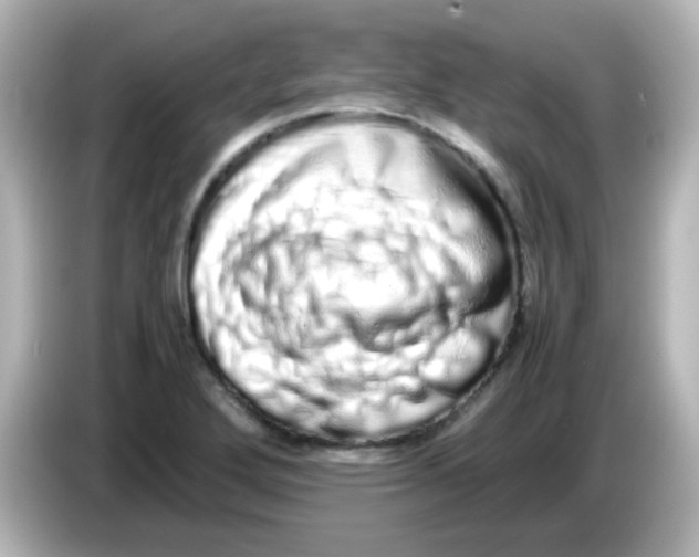 X0000085781272200704091405