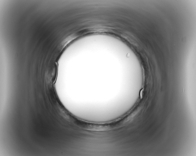 X0000085781273200704091405