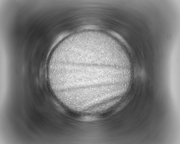 X0000085781274200704091405