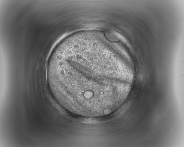 X0000085781275200704091405