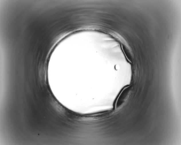 X0000085781276200704091405