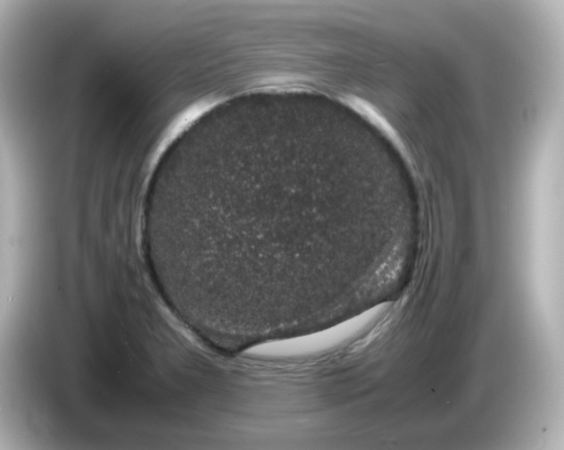 X0000085781277200704091405