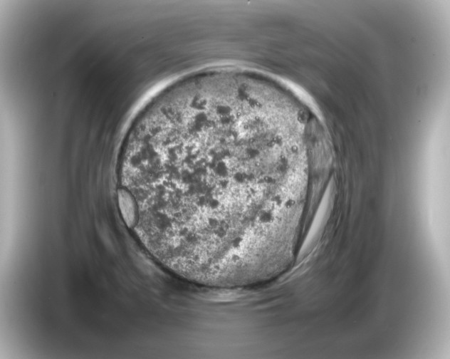 X0000085781279200704091405