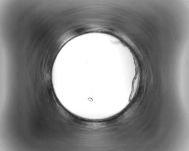 X0000085781281200704091405