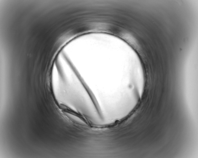 X0000085781284200704091405