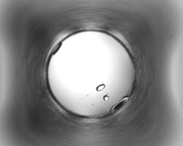 X0000085781285200704091405