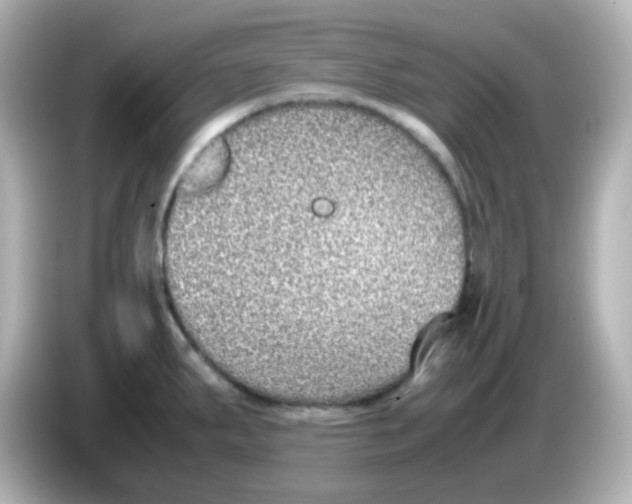 X0000085781287200704091405