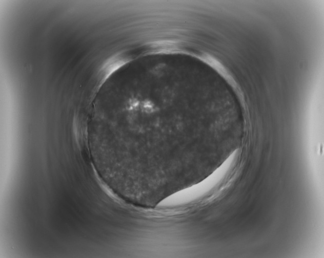 X0000085781289200704091405