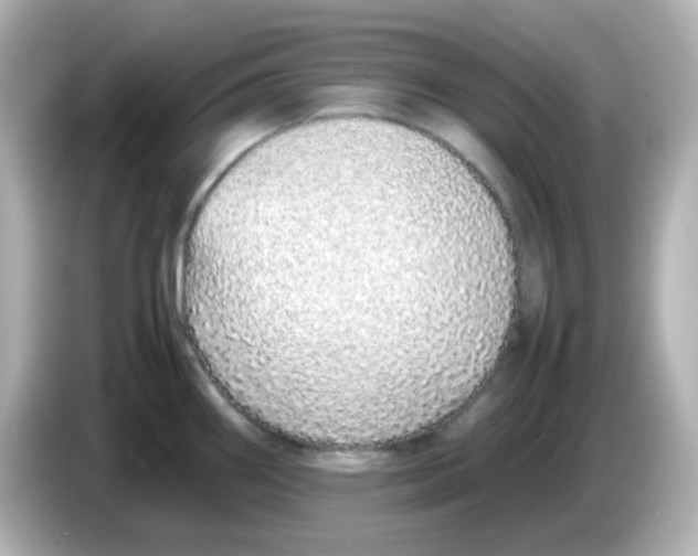 X0000085781290200704091405