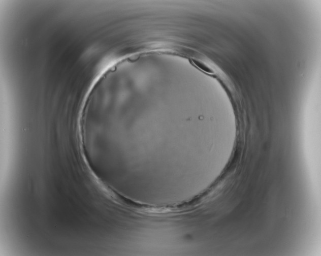 X0000085781291200704091405