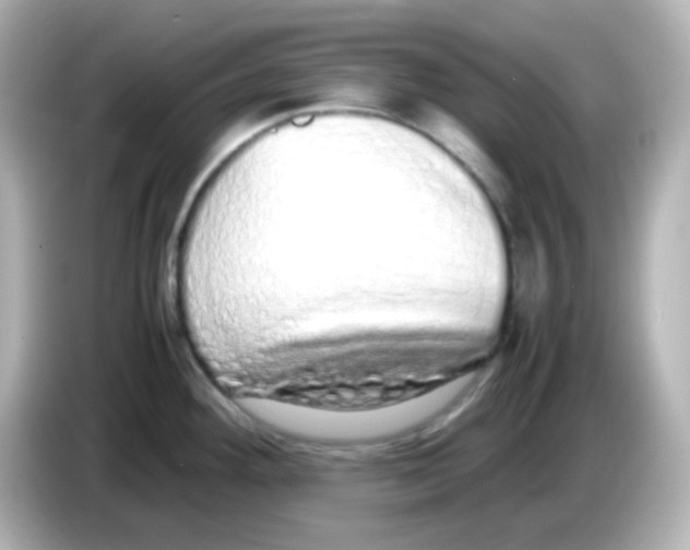 X0000085781292200704091405